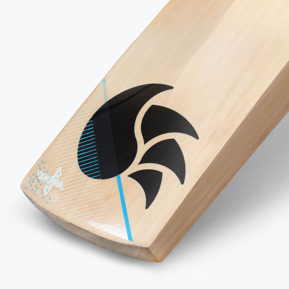 DSC XLITE XTREME ENGLISH WILLOW CRICKET BAT 24