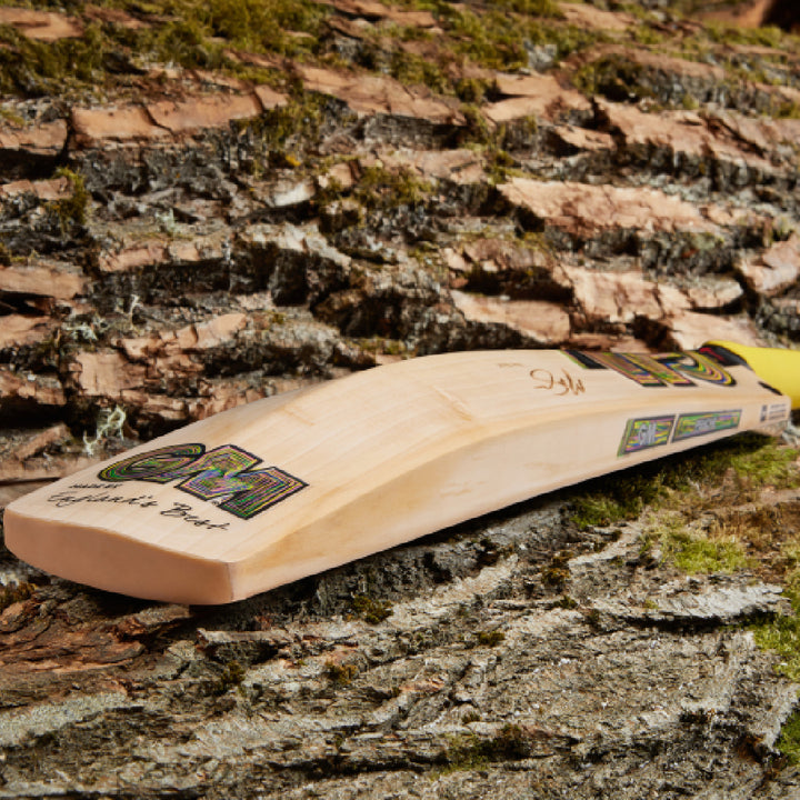 GUNN & MOORE MATT SHORT PLAYERS EDITION EW CRICKET BAT