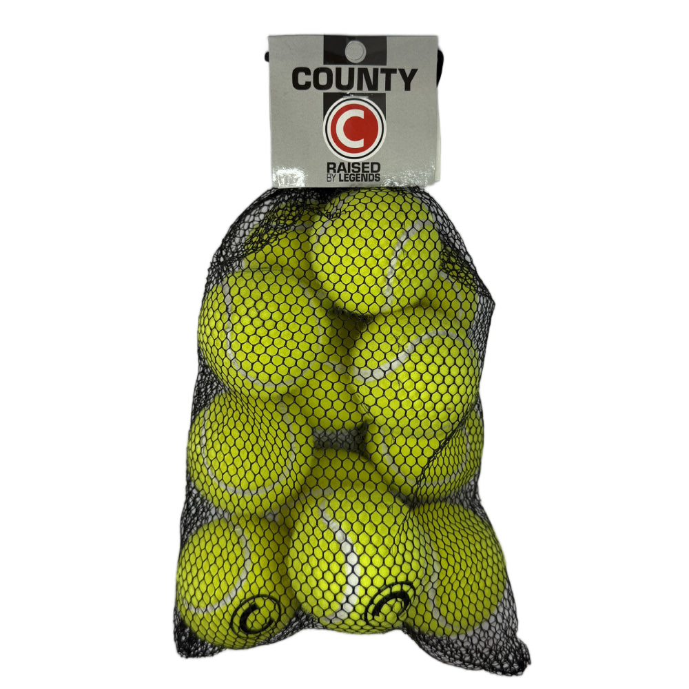 TRAINER TENNIS BALL (12 Pk x 58gm)