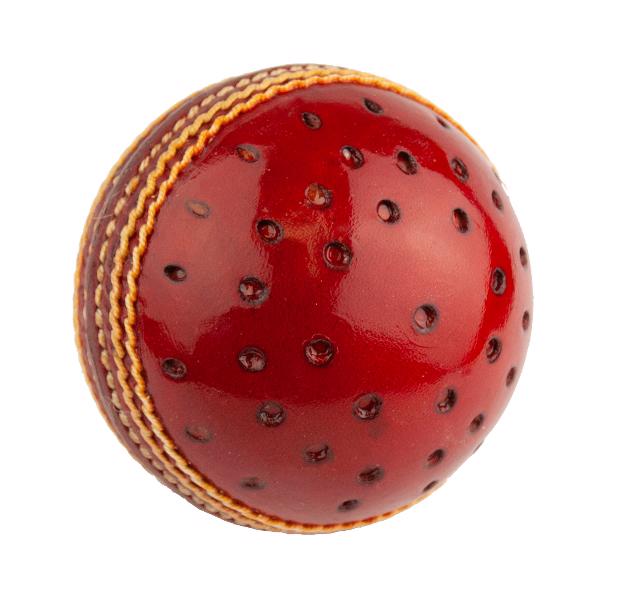 DUKES SPECIAL COACH 156G SWINGER PERFORATED BALL