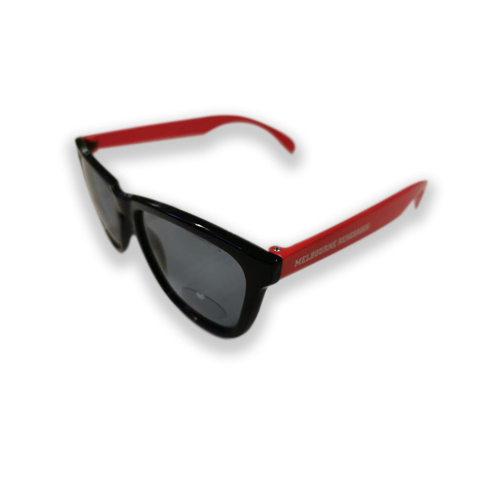 BIG BASH LEAGUE BBL SUNGLASSES