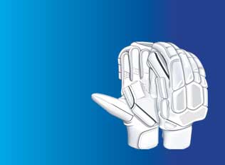 Cricket Batting Gloves