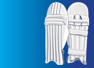 Cricket Batting Pads