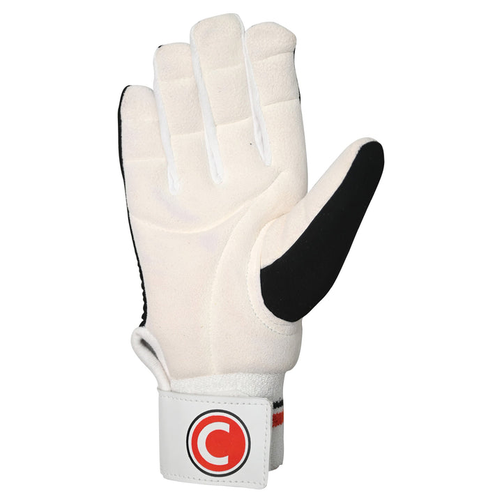COUNTY INTERNATIONAL WICKET KEEPING INNERS