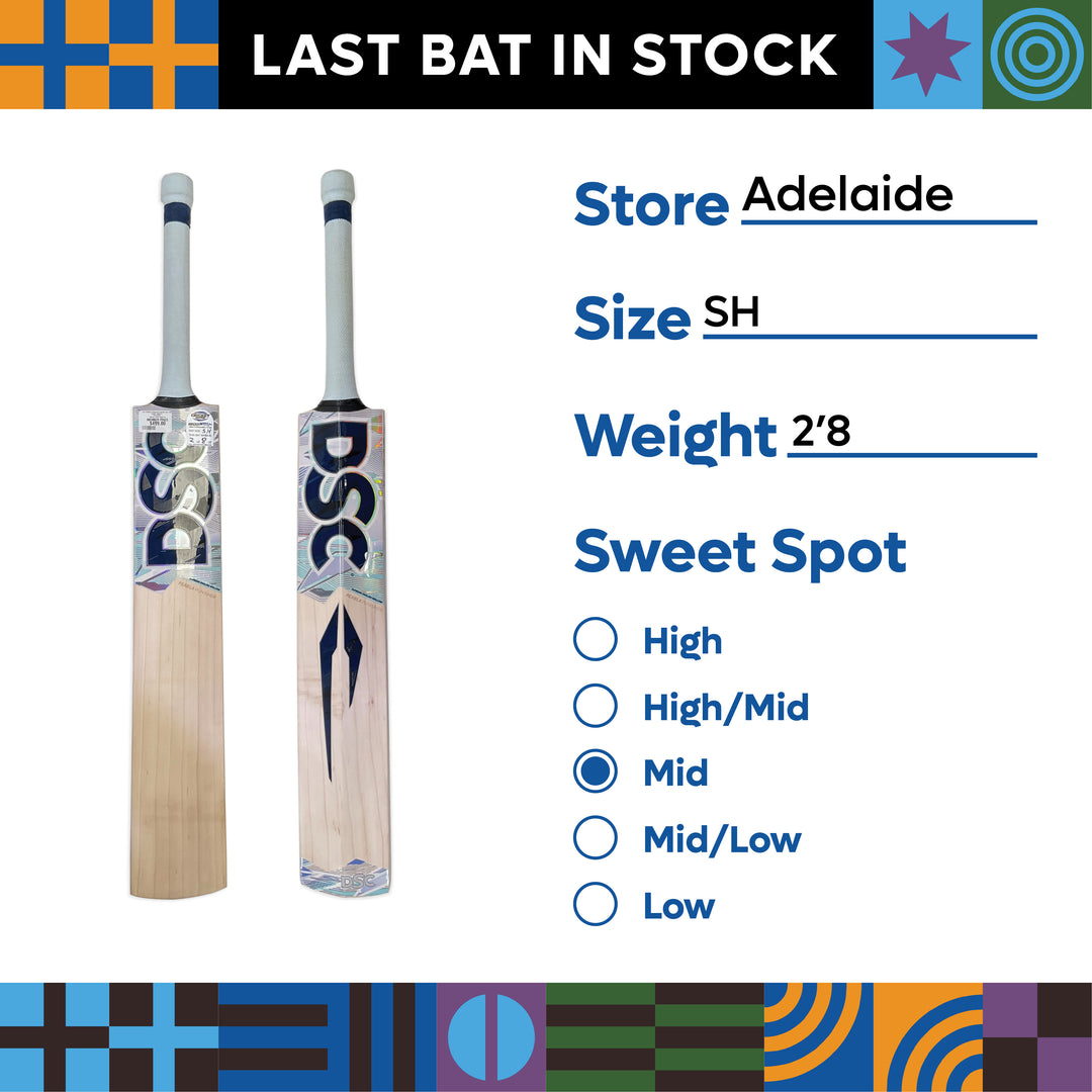 DSC PEARLA PUNISHER CRICKET BAT EW