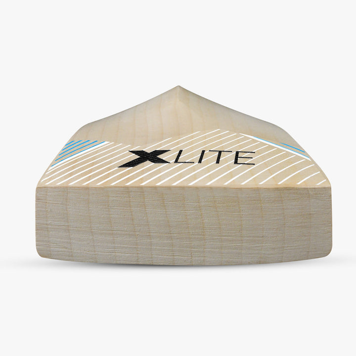 DSC XLITE XCEL CRICKET BAT EW