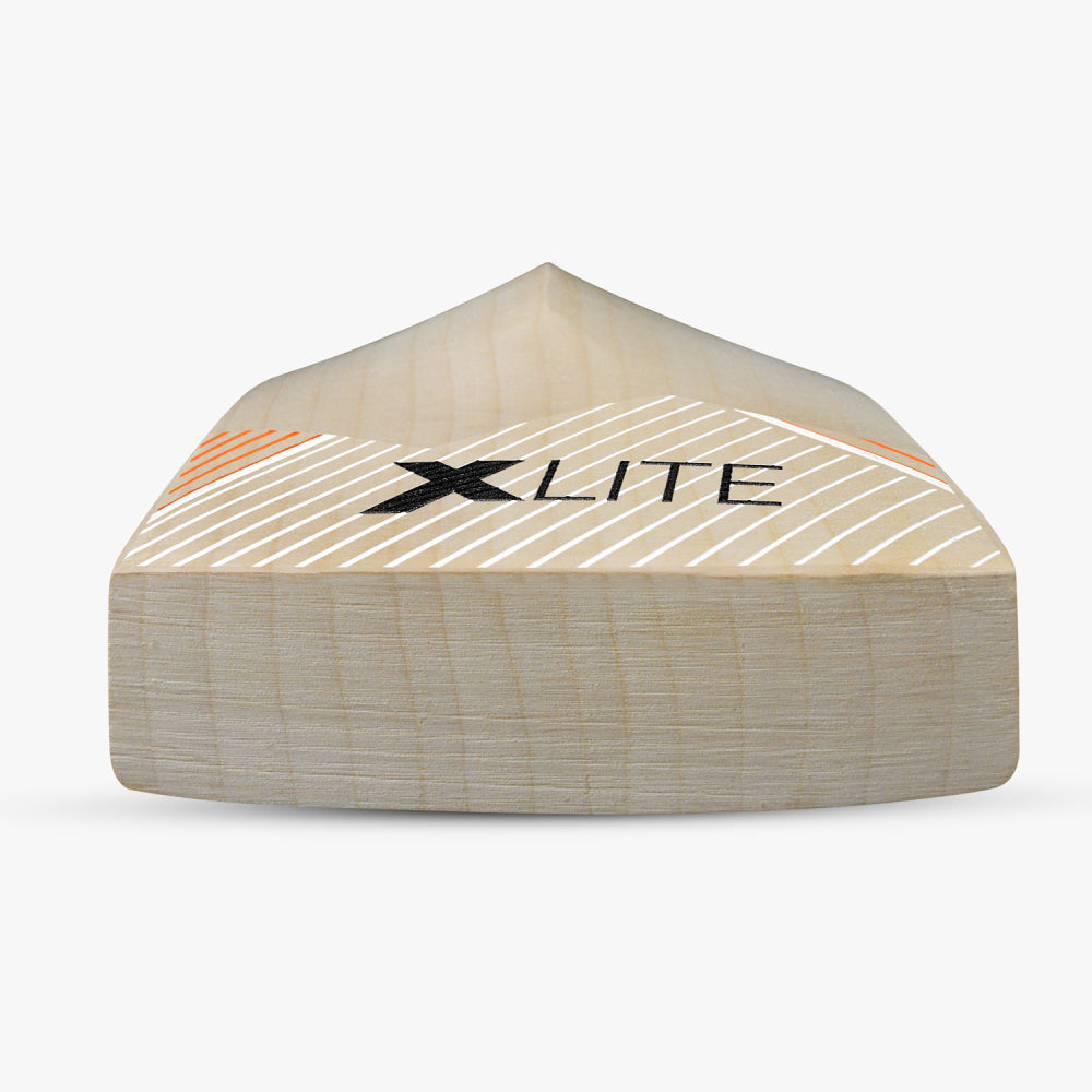 DSC XLITE 25 CRICKET BAT EW