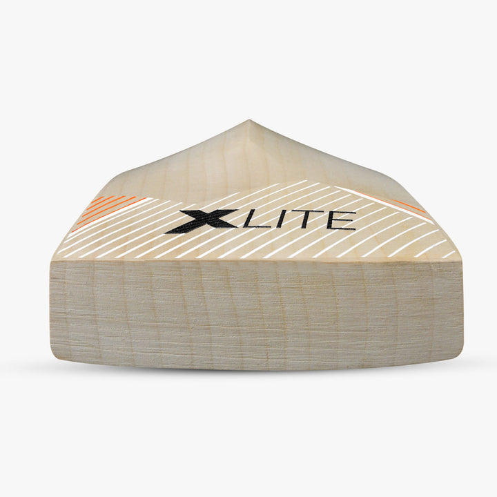 DSC XLITE 25 CRICKET BAT EW