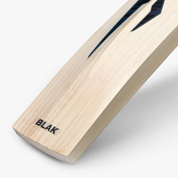 DSC BLAK KNIGHT EW CRICKET BAT