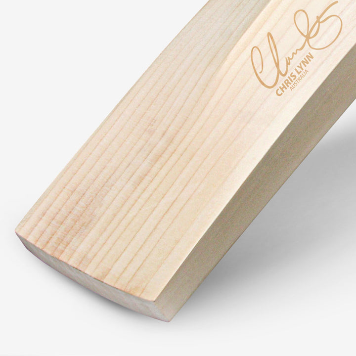 DSC PEARLA PLAYERS EW CRICKET BAT
