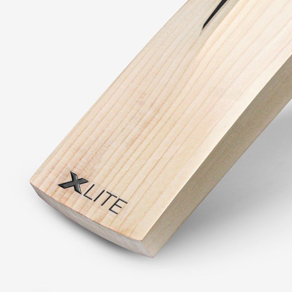 DSC XLITE XLR8 EW CRICKET BAT