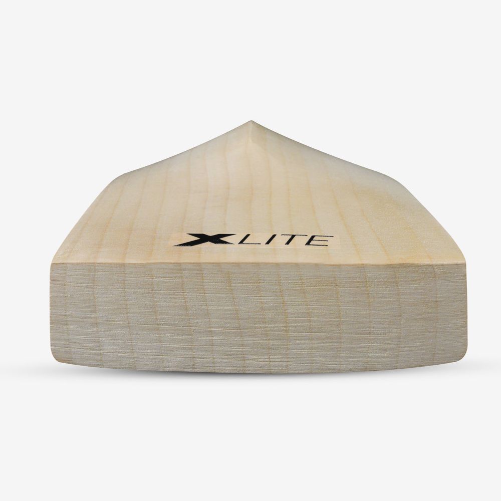 DSC XLITE XLR8 EW CRICKET BAT