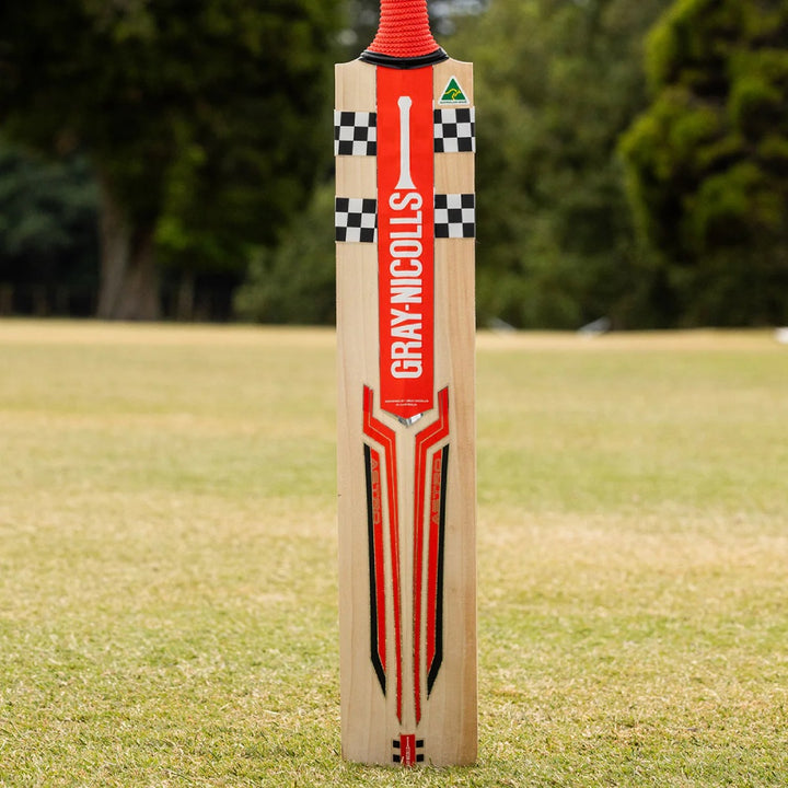 GRAY-NICOLLS ASTRO PLAYERS EDITION ENGLISH WILLOW CRICKET BAT