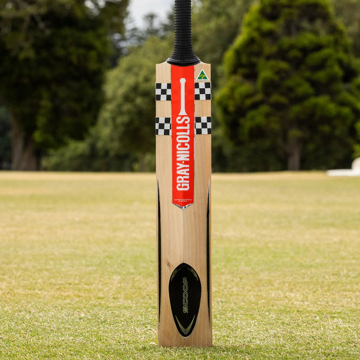 GRAY-NICOLLS SCOOP PRO BALANCE PLAYERS CRICKET BAT