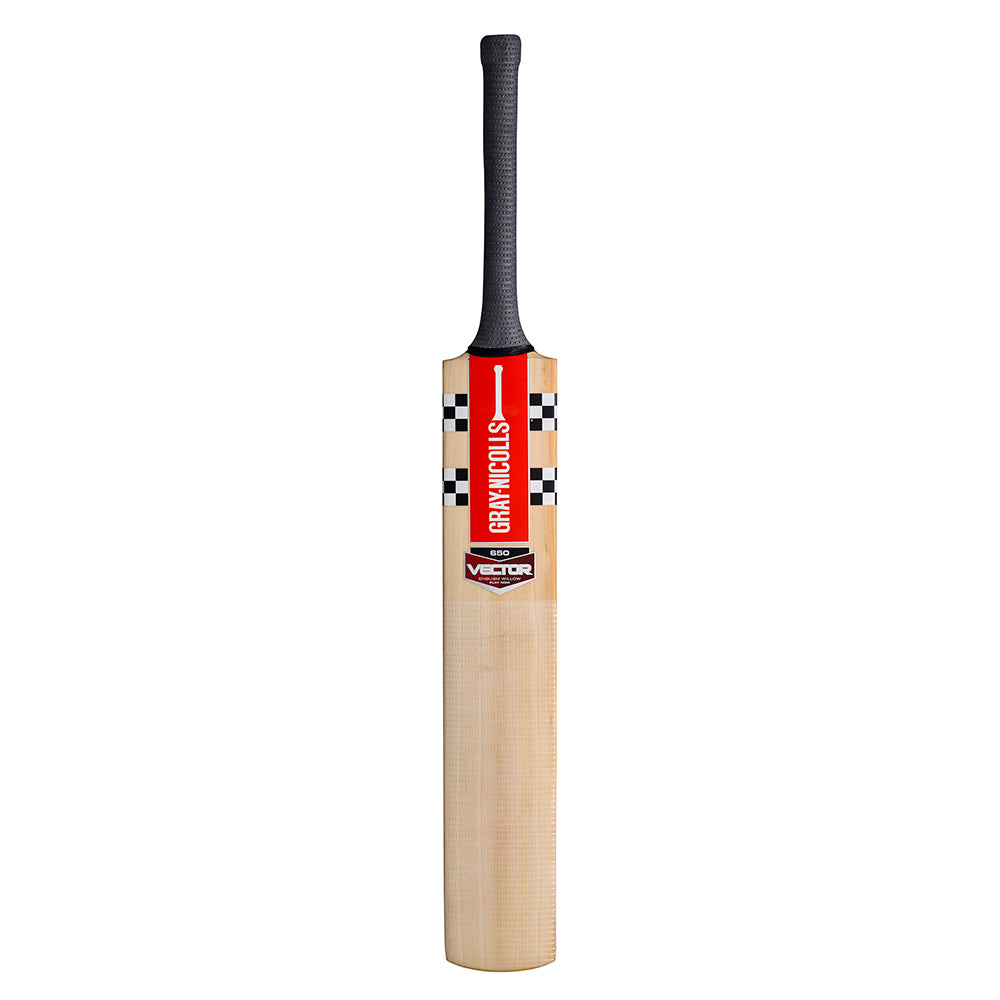 GRAY-NICOLLS VECTOR 650 'PLAY NOW' EW CRICKET BAT