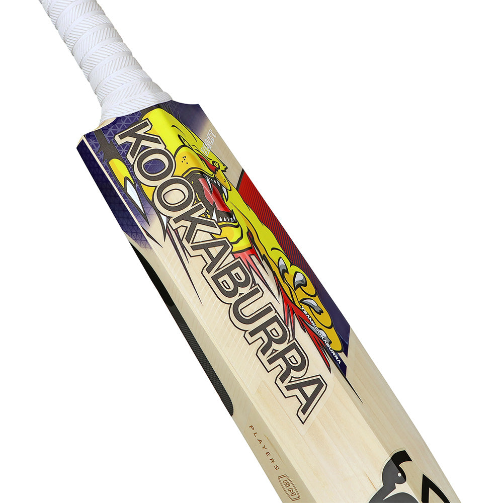 KOOKABURRA PLAYERS REPLICA BEAST GLENN MAXWELL CRICKET BAT 2025