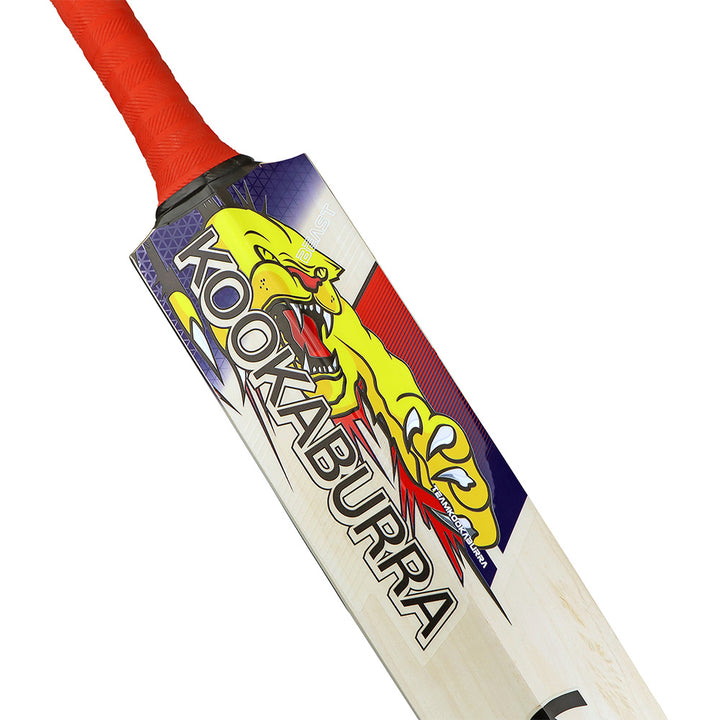 KOOKABURRA BEAST PRO 2.0 JUNIOR CRICKET BAT 2025