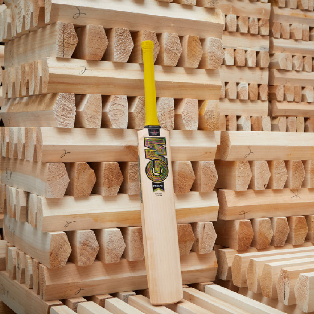 GUNN & MOORE MATT SHORT PLAYERS EDITION EW CRICKET BAT