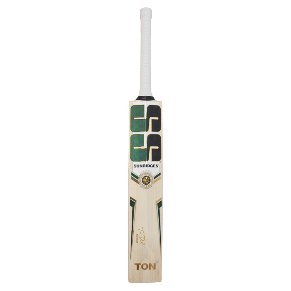 SS TIM DAVID PLAYERS EDITION EW CRICKET BAT