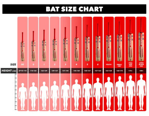 GRAY-NICOLLS REVEL STRIKE KASHMIR WILLOW CRICKET BAT JUNIOR