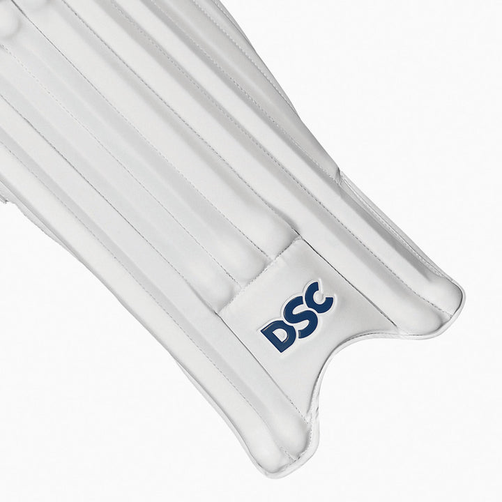 DSC PEARLA PUNISHER CRICKET CRICKET BATTING PADS