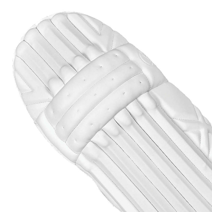 DSC XLITE L.E BATTING PADS 24