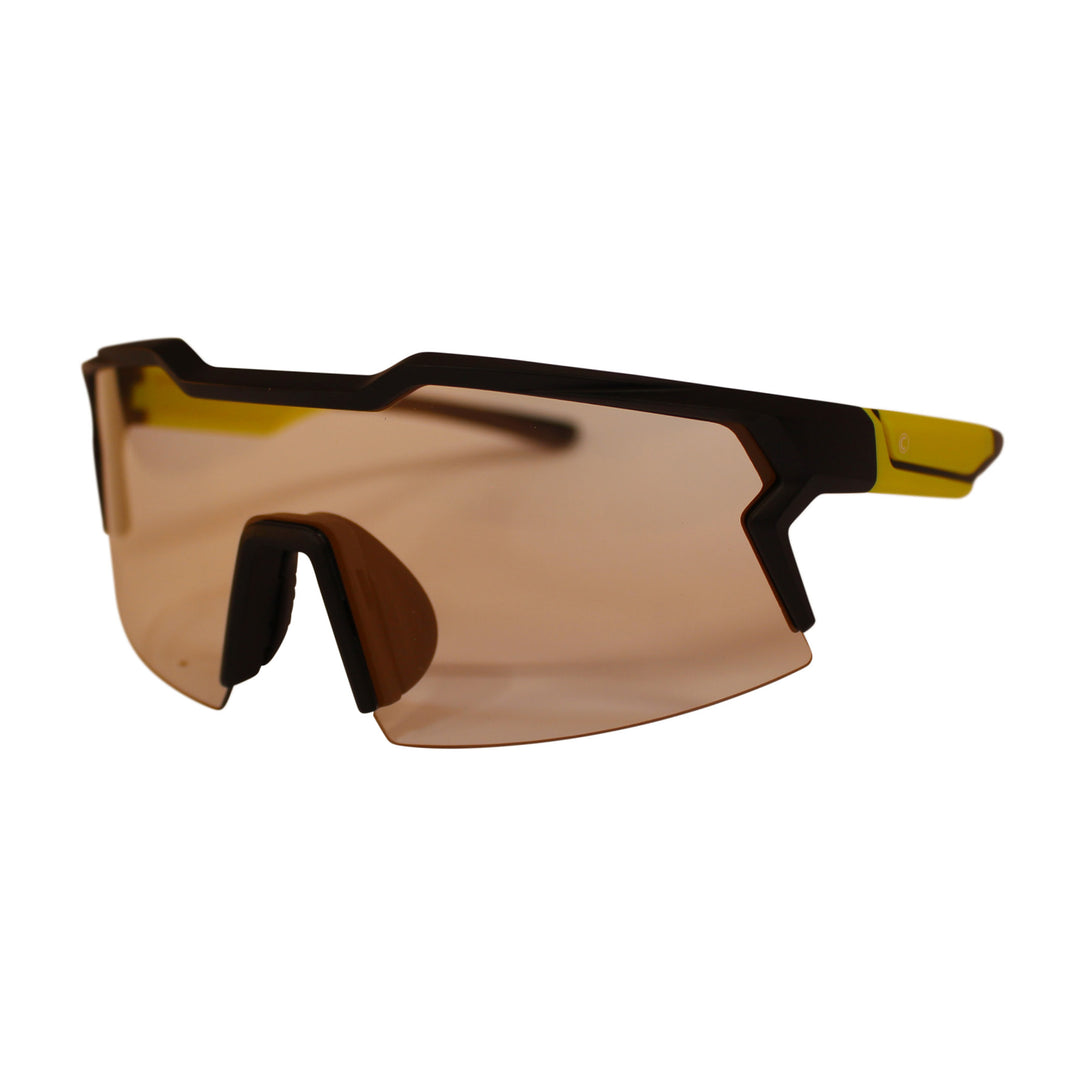 COUNTY ENFORCER SUNGLASSES BLACK - GOLD PHOTOCROMATIC LENS