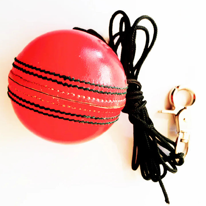 THE V REPLACEMENT 156gm SWIVEL BALL PACK PINK