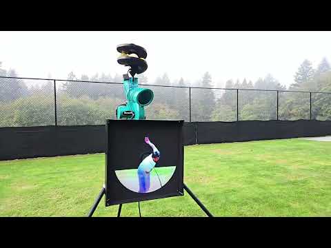 PACEMAN SIMFX SCREEN & BALL FEED SYSTEM